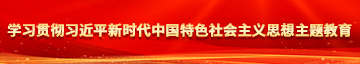 操鸡吧视频导航学习贯彻习近平新时代中国特色社会主义思想主题教育